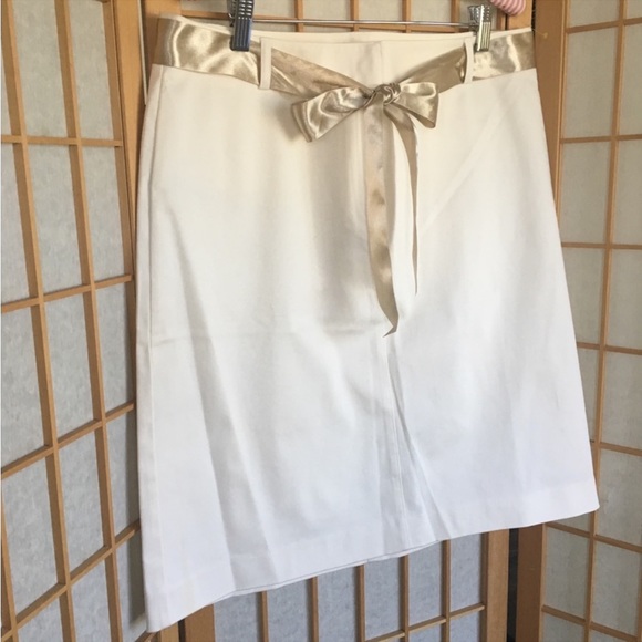 Ann Taylor Midi  Cream Skirt SZ 14 NWT - Picture 3 of 8